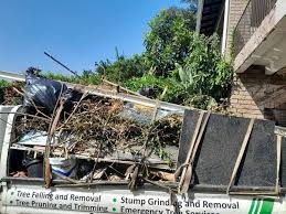 Best Attic Cleanout  in Panama City, FL