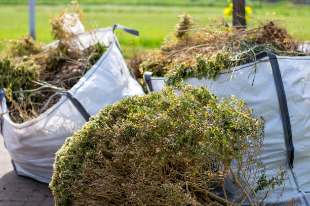 Best Demolition Debris Removal  in Panama City, FL